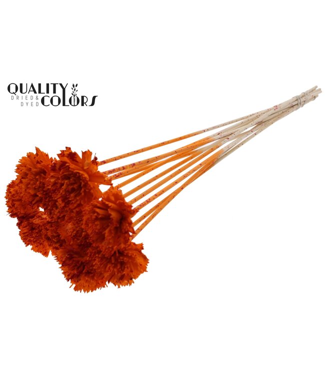 Shola Karnish Flower 6cm on stem Splashed Orange/Red ( x 50 )