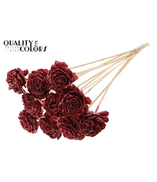 QC Shola Dhaliya 6cm on stem Wax Burgundy | Per 50 stuks