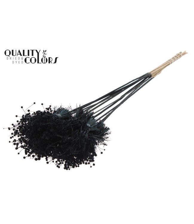 Mini Button Posy on stem Black ( x 50 )