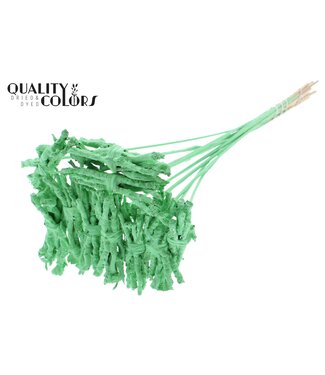 QC Coco Rose Posy on stem Covered Mint Green | Per 50 stuks