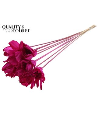 QC Shola Dear Holly 6cm on stem Lilac ( x 50 )