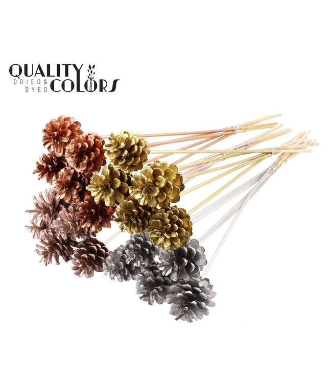 Pine cone 5-7cm on stem Metallic chic Mix ( x 50 )