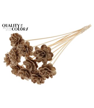 QC Beetal Rose 6cm on stem Wax Beige | Per 50 stuks