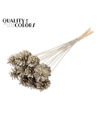 QC Pine cone 5-7cm on stem Platina | Per 50 stuks