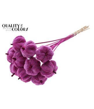 QC Velvet Pumpkin Ø6cm on stem Lilac ( x 40 )