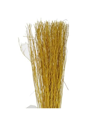 4A Branches de Yanagi séchées jaunes déco séchée | Poids 250 grammes | Par pièce
