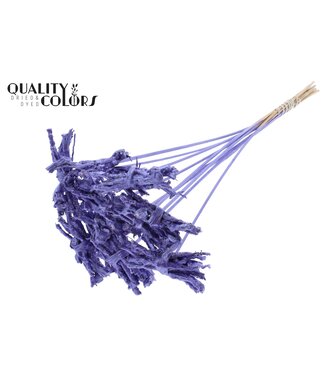 QC Coco Rose Posy on stem Metallic Purple | Per 50 stuks