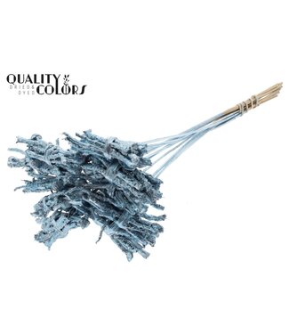 QC Coco Rose Posy on stem Metallic Blue | Per 50 stuks