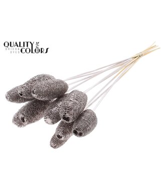 QC Luffa Mini on stem Champagne | Per 50 stuks