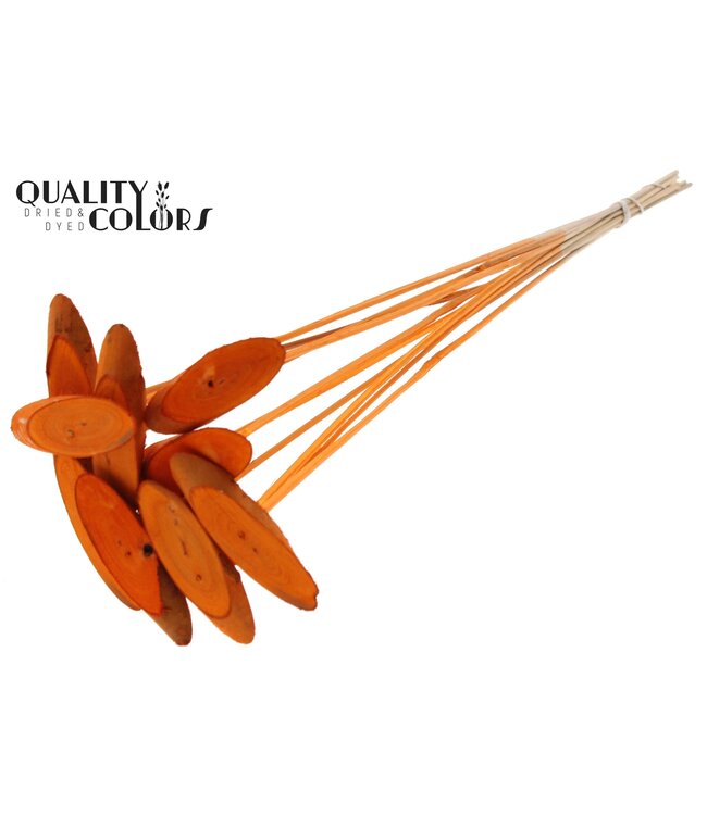 Wood oval Slice on stem Orange ( x 50 )