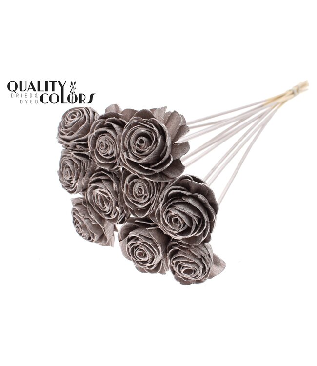 Shola Beauty Rose 6cm on stem Champagne ( x 50 )