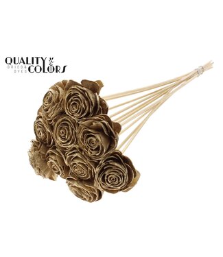 QC Shola Beauty Rose 6cm on stem Antique Gold ( x 50 )