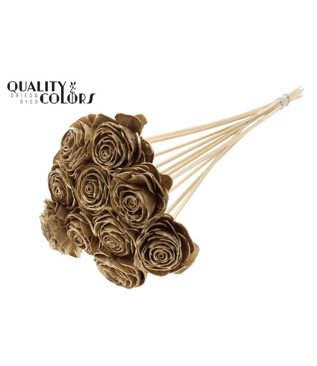 Shola Beauty Rose 6cm on stem Antique Gold ( x 50 )