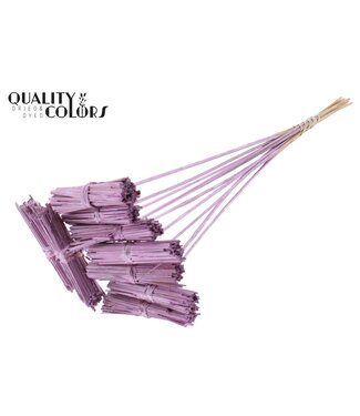 QC Kore Posy on stem Metallic Pink | Per 50 stuks
