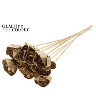 QC Shola Dear Holly 6cm on stem Antique Gold ( x 50 )