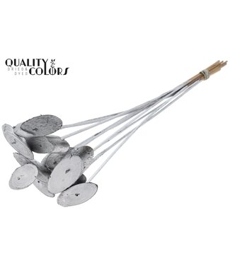QC Wood oval Slice on stem Silver ( x 50 )