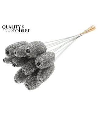 QC Luffa Mini on stem Platina ( x 50 )