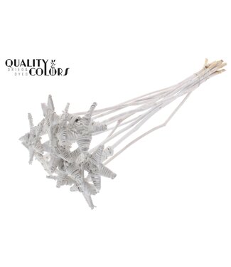 QC Lata Star on stem Covered White ( x 50 )