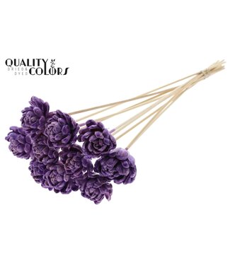 QC Shola New Beauty Rose 6cm on stem Wax Milka | Per 50 stuks
