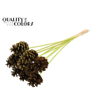 QC Pine cone 5-7cm on stem Light Green | Per 50 stuks