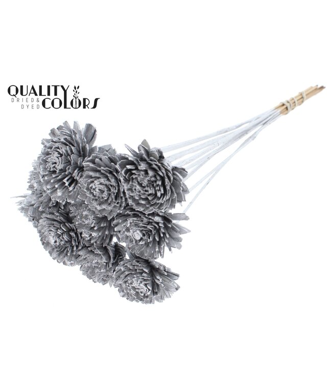 Shola Zinia 6cm on stem Silver ( x 50 )