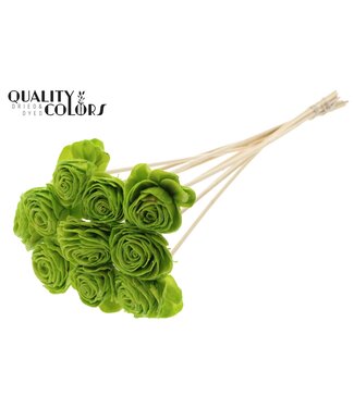 QC Shola Beauty Rose 6cm on stem Wax Light Green ( x 50 )