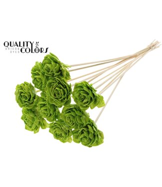 QC Shola Dhaliya 6cm on stem Wax Light Green | Per 50 stuks