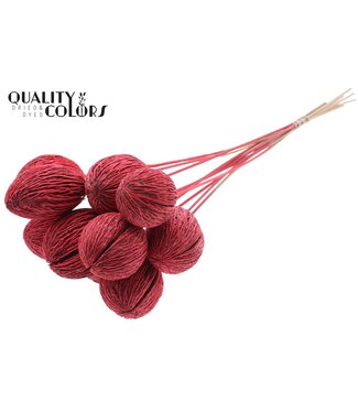 QC Mintola Ball on stem Intense Red ( x 50 )