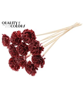 QC Shola Karnish Flower 6cm on stem Wax Burgundy | Per 50 stuks