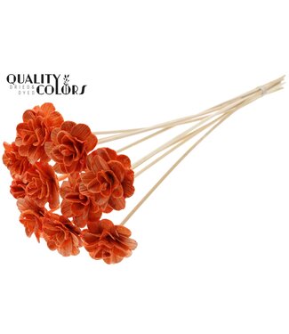 QC Beetal Rose 6cm on stem Wax Orange | Per 50 stuks