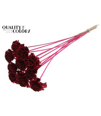 QC Cedar Rose on stem Cerise | Per 50 stuks