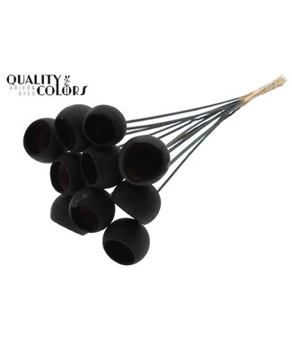 QC Bell Cup on stem Black | Per 50 stuks