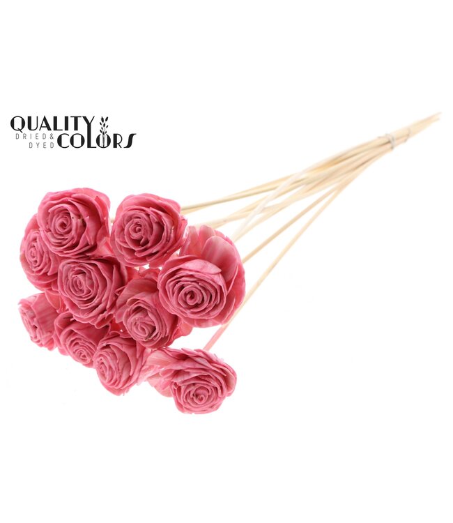 Shola Beauty Rose 6cm on stem Wax Light Pink ( x 50 )