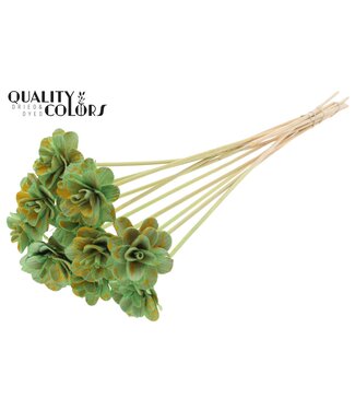 QC Beetal Rose 6cm on stem Splashed Mint/Yellow ( x 50 )