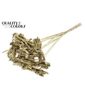 QC Coco Rose Posy on stem Gold | Per 50 stuks