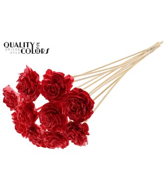 QC Shola Dhaliya 6cm on stem Wax Red | Per 50 stuks