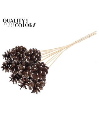 QC Pine cone 5-7cm on stem Silver Tipped | Per 50 stuks