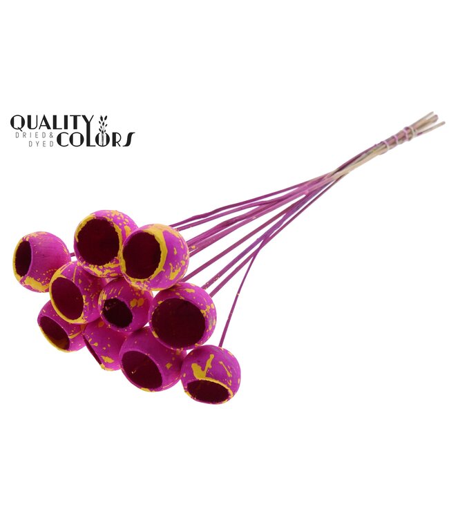 Bell Cup on stem Splashed Lilac/Yellow ( x 50 )
