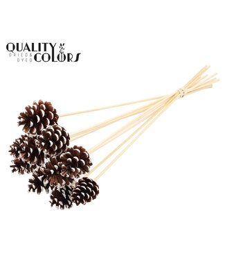 QC Pine cone 5-7cm on stem White Tipped | Per 50 stuks