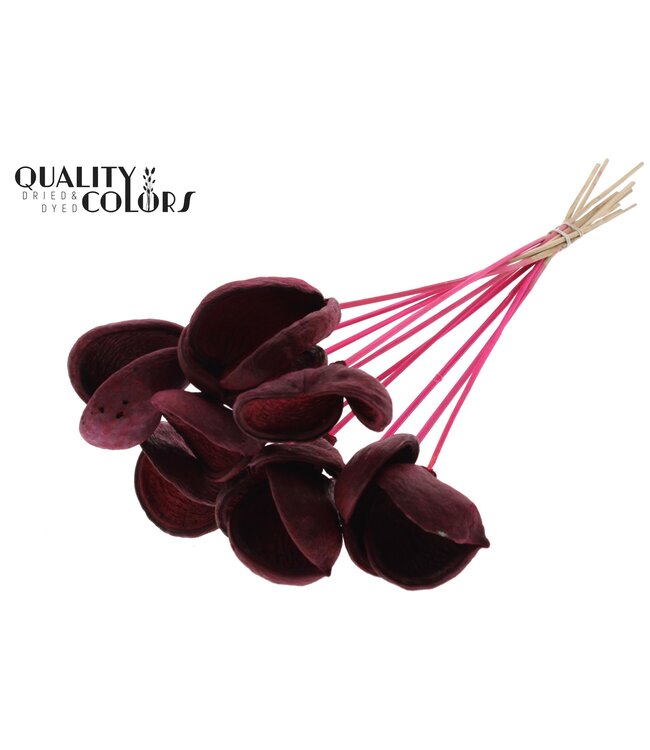 Badam on stem Cerise ( x 50 )