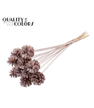 QC Pine cone 5-7cm on stem Champagne + Glitter ( x 150 )