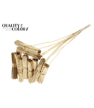 QC Kore Posy on stem Antique Gold ( x 50 )