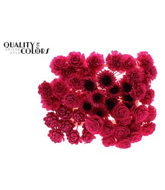 QC Shola Flower Mix on stem Cerise | Per 50 stuks
