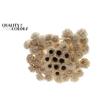 QC Shola Flower Mix on stem Natural | Per 50 stuks