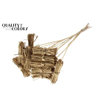 QC White Lady posy on stem Antique Gold | Per 50 stuks