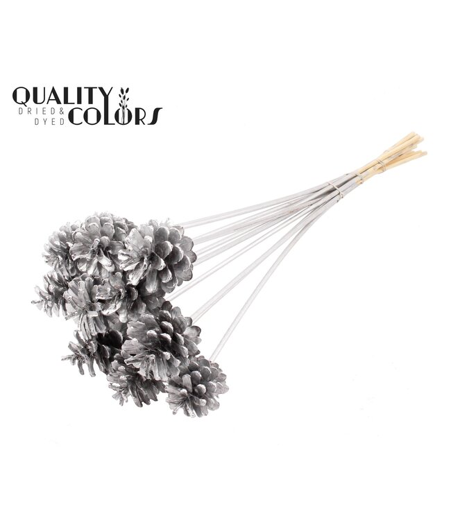 Pine cone 5-7cm on stem Silver ( x 150 )