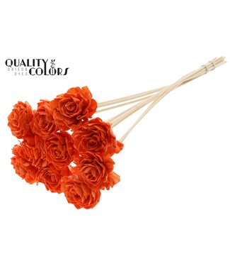 QC Shola Dhaliya 6cm on stem Wax Orange | Per 50 stuks