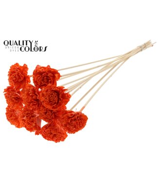 QC Shola Karnish Flower 6cm on stem Wax Orange ( x 50 )