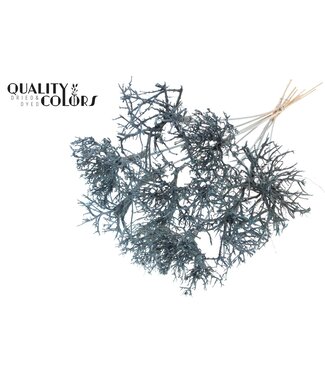 QC Dry Tree on stem Frosted Light Blue | Per 50 stuks