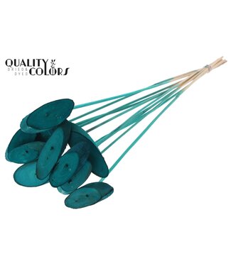 QC Wood oval Slice on stem Turquoise | Per 50 stuks